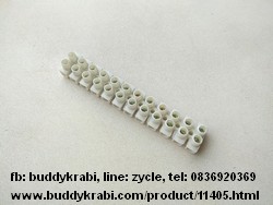 ลูกเต๋าต่อสายไฟ 1 แถว (6 คู่)  12 x 15 มม., รู 3 มม.     สีขาว