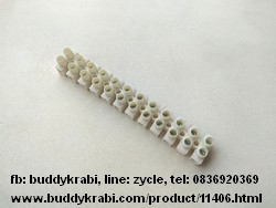 ลูกเต๋าต่อสายไฟ 1 แถว (6 คู่)  15 x 17 มม., รู 4 มม.     สีขาว