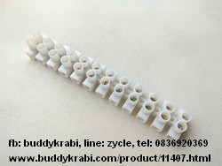 ลูกเต๋าต่อสายไฟ 1 แถว (6 คู่)  18 x 20 มม., รู 5 มม.     สีขาว