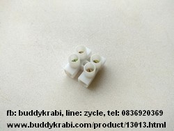 ลูกเต๋าต่อสายไฟ 1 คู่  18 x 20 มม., รู 5 มม.     สีขาว