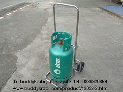 รถเข็น พับได้  ใหญ่ รับน้ำหนักได้ 80 กก. ชุบโครเมี่ยม