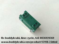 สวิทช์เมจิกรุ่นเก่า  Chang 16A  Meji-Series CH-301