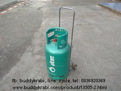 รถเข็น พับได้  เล็ก รับน้ำหนักได้ 25 กก. ชุบโครเมี่ยม