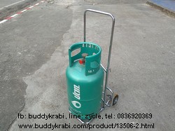 รถเข็น พับได้  กลาง รับน้ำหนักได้ 50 กก. ชุบโครเมี่ยม