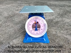เครื่องชั่ง (ตาชั่ง) เข็ม ใหญ่  ไก่สามห่วง 60 กก.  จานแบน   สีน้ำเงิน