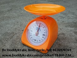 เครื่องชั่ง (ตาชั่ง) เข็ม เล็ก ตัวเครื่องพลาสติก T.Dolphin 1 กก.   KCC-1