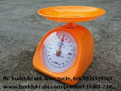 เครื่องชั่ง (ตาชั่ง) เข็ม เล็ก ตัวเครื่องพลาสติก T.Dolphin 2 กก.   KCC-2