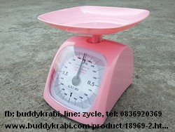 เครื่องชั่ง (ตาชั่ง) เข็ม เล็ก ตัวเครื่องพลาสติก Camry 2 กก.   KCT