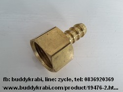 หางปลา, เกลียวใน 4 หุน (1/2 นิ้ว)     ทองเหลือง