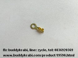 หางปลากลม 2 คีบ  4 มม.     สีทอง