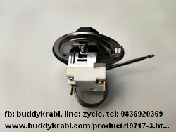 เทอร์โมสตัท  SL 50-300C กระเปาะเซ็นเซอร์ 4 มม. ยาว 70 มม.