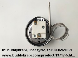 เทอร์โมสตัท  SL 50-300C กระเปาะเซ็นเซอร์ 4 มม. ยาว 70 มม.