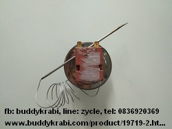 เทอร์โมสตัท  H (AM) 50-300C กระเปาะเซ็นเซอร์ 3 มม. ยาว 130 มม.