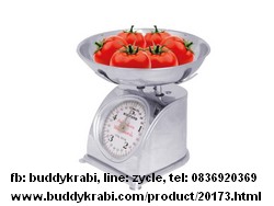 เครื่องชั่ง (ตาชั่ง) เข็ม เล็ก ตัวเครื่องสเตนเลส Kinfuto 5 กก.   KSS208