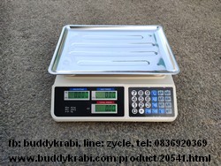 เครื่องชั่ง (ตาชั่ง) ดิจิตอล ใหญ่   40 กก.   DA54