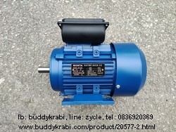 มอเตอร์  Monta 1.0 HP มู่เล่ย์ 1 ร่อง 2.5 นิ้ว แกน 19 มม.  MT-1/4P  สีน้ำเงิน