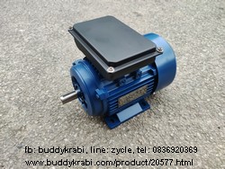 มอเตอร์  Monta 1.0 HP มู่เล่ย์ 1 ร่อง 2.5 นิ้ว แกน 19 มม.  MT-1/4P  สีน้ำเงิน