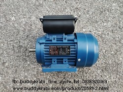 มอเตอร์  Monta 0.5 HP มู่เล่ย์ 1 ร่อง 2.5 นิ้ว แกน 19 มม.  MT-0.5/4P  สีน้ำเงิน