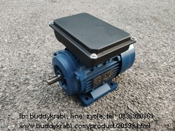 มอเตอร์  Monta 0.5 HP มู่เล่ย์ 1 ร่อง 2.5 นิ้ว แกน 19 มม.  MT-0.5/4P  สีน้ำเงิน