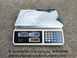เครื่องชั่ง (ตาชั่ง) ดิจิตอล ใหญ่   40 กก. จานแบน  DZC-PP