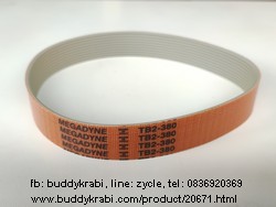 สายพานเครื่องหั่น (สไลซ์) เนื้อแช่แข็ง  MEGADYNE เส้นรอบวง 385 มม. กว้าง 20 มม. หนา 2.5 มม. 10 ร่อง โพลียูรีเทน  TB2-380-10 Rib-20mm  สีส้ม