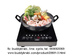 เตาแม่เหล็กไฟฟ้า + หม้อสเตนเลส Otto  1800W  GI-823A